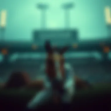 Magnificent 메가파워코리아: 복권과 스포츠 베팅의 새로운 지평 Magnificent 메가파워코리아: 복권과 스포츠 베팅의 새로운 지평