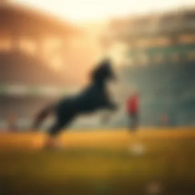 Magnificent 토토 배트맨: 스포츠 베팅의 모든 것