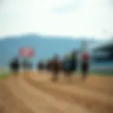 The Evolution of Horse Racing in Korea Historic racetrack showcasing the evolution of horse racing in Korea