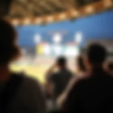 Fans enjoying a baseball game
