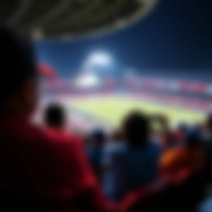 Fans enjoying the excitement of a KBO game