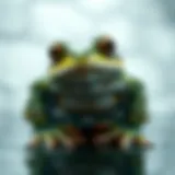 The Symbolism of Frogs in Dreams Symbolic representation of a frog in a dream