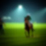 가격 맞추기 게임: 전략과 분석 Introduction