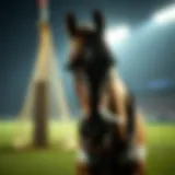 경마학당com: 복권과 스포츠 베팅의 이론과 실제 Introduction