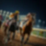 Horse racing analysis