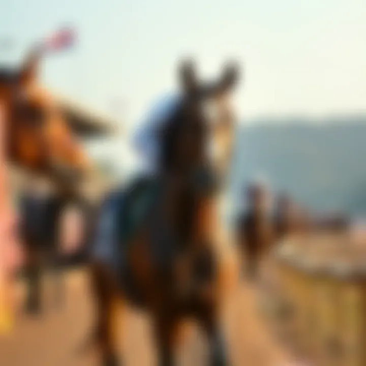 Historical Significance of Horse Racing in Korea