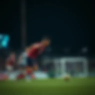 여섯육: 복권과 스포츠 베팅의 탐구 Summary